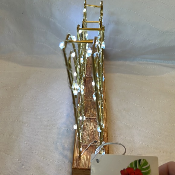 Garden 🪴 Party LED Wire Frame Light With BLOOM NWT - Picture 8 of 12